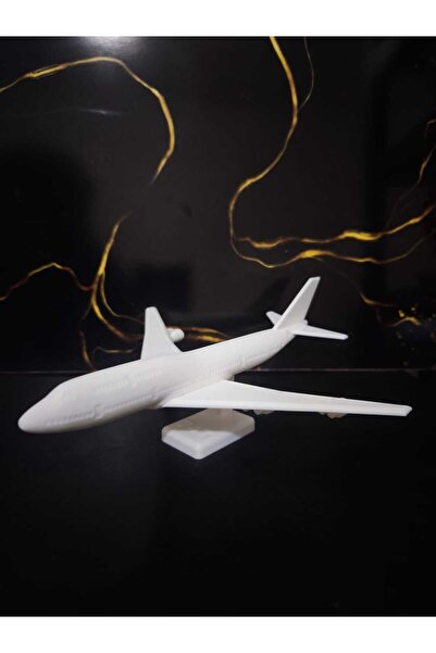 Hediyehanem Uçak Yolcu Uçağı 3d Baskı Demonte Kendin Boya Hobi Oyuncak