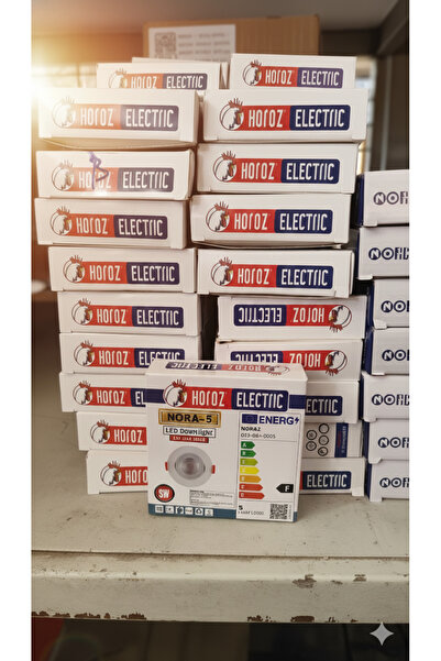 Horoz Elektrik Sıva altı Spot 5 w