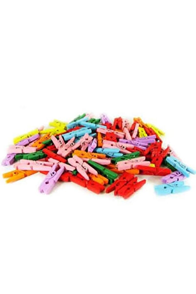 Marsilyan 100 Colorful Wooden Pegs 2.5cm (12 Pack-1200 Pieces)