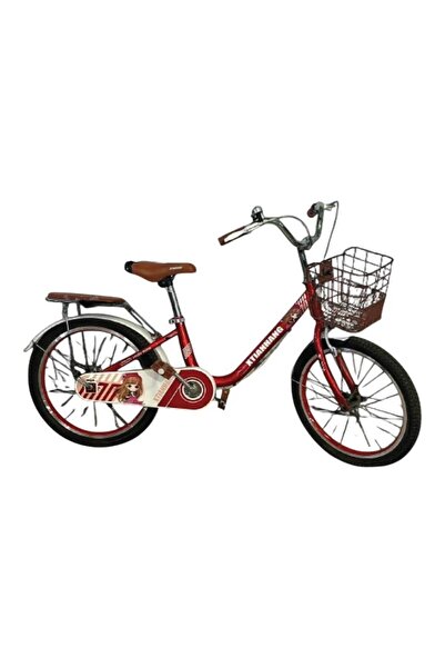 Dogel سيكل بناتي بسلة ‘XTE-20