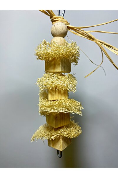 Ciko Kafes Lif Pumpkin Wooden Bird Chasing Toy