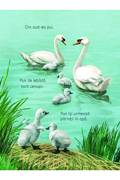 Univers Enciclopedic Junior Anotimpurile (Usborne)