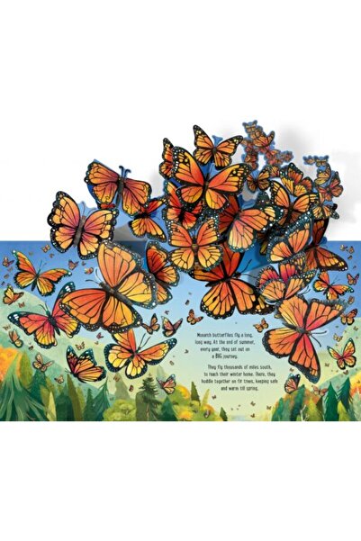 Usborne Pop-Up Butterflies