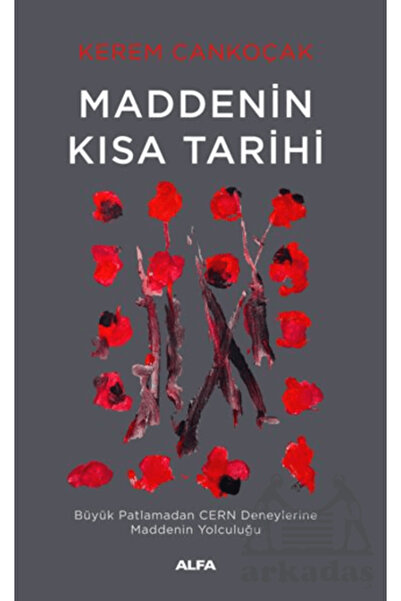 Alfa Yayınları Maddenin Kısa Tarihi