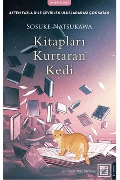 Destek Yayınları Kitapları Kurtaran Kedi