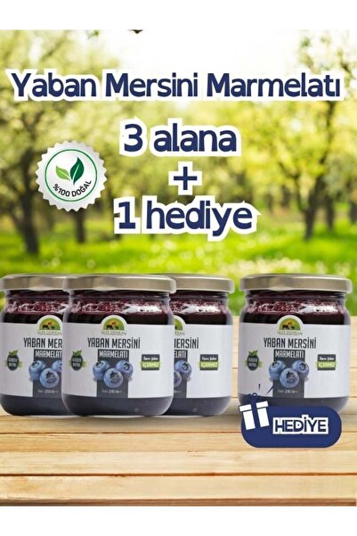Taze Dükkan 3 Adet Yaban Mersini Marmelatı alana 1 Adet Hediye