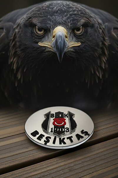 NEP Black and White Photografic Handmade Painting