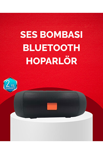 ALETOOLS Bluetooth Hoparlör 20W Bass Güçlü Ses USB Flash AUX Destekli - TEOLS...