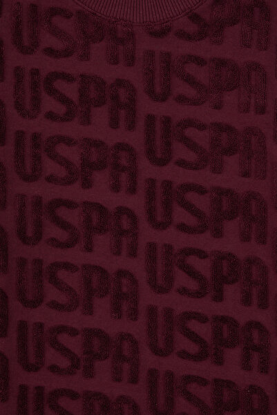 U.S. Polo Assn. Boy's Burgundy Crew Neck Sweatshirt 50308515-Vr177