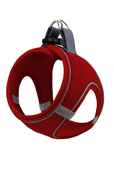 Mita Set of 12 Air Mesh 3XS Breast Collar Red