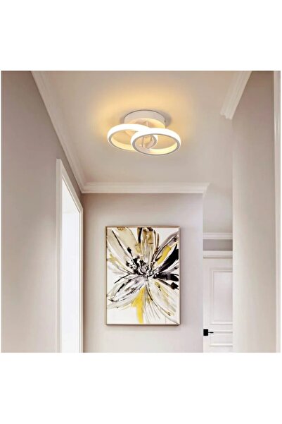 Alessandro DESIGN Lustra LED CIRCULARA 24W, 2 Cercuri, lumina Rece/Calda/Neutra, Alb