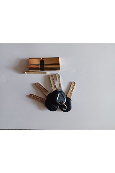OEM Cilindru de ușă pentru ușă metalică 72 mm