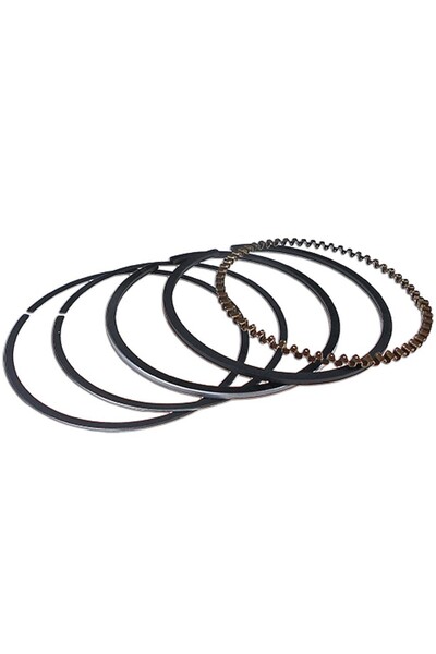 RURIS Segmente de pompă cu motor MP80