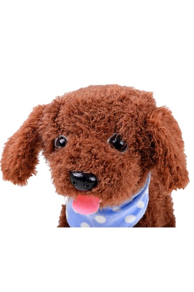 Matadi Interactive plush puppy with leash Brown