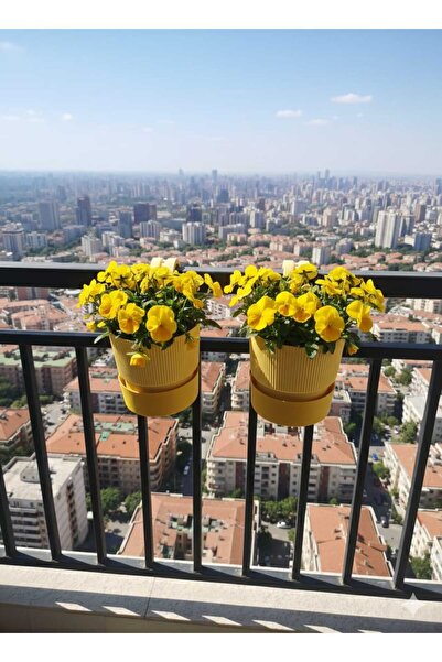 BiDünya 2 Adet 2 Litre Sarı Iksora Tek Askılı Saksı Dekoratif Balkon Saksısı ...