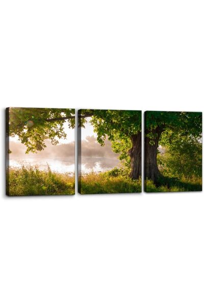 ALAYRA International لوحة فنية جدارية من القماش لمناظر طبيعية لشجرة البلوط، د...