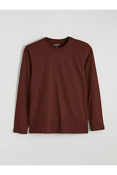 LC Waikiki Crew Neck Long Sleeve Men's T-Shirt