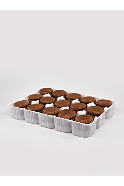 Cakescity TARTELAT HAMURU KAKAOLU (60 ADET)