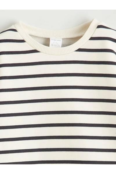 LC Waikiki Crew Neck Striped Baby Boy Sweatshirt
