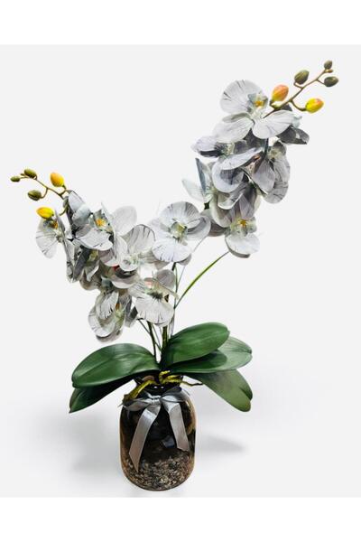 Yetkin Cam Vazoda Gri Orkide Yapay Çiçek Aranjmanı – 12x60 cm
