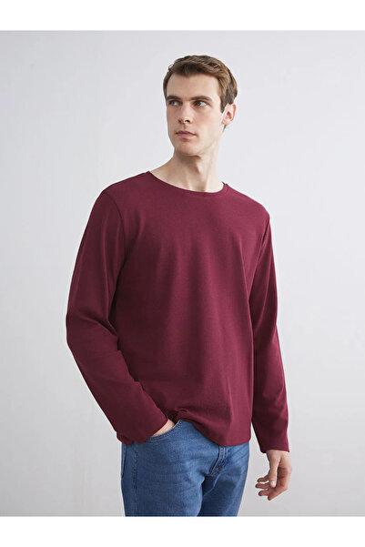 LC Waikiki Crew Neck Long Sleeve Men's T-Shirt