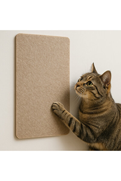 Arnee Felt Cat Sofa Couch Scratch Protector 20X50Cm Beige – Adhesive Furniture Corner Protection Carpet