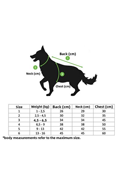 Lorico Dog Christmas Sweater