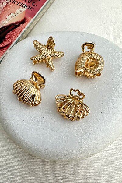 Modex D. Shell D. Star Minimal Buckle - Metal, Size 2cm