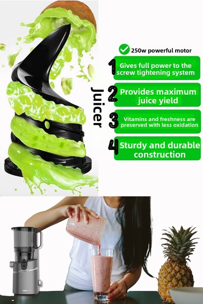 TIGRECOOK Slow Juicer Slow Squeeze Solid Fruit Juicer Sorbet and Ice Cream