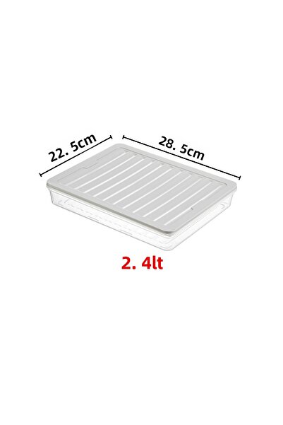 Nandy Home Set of 4 Freshbox Microwave and Diffracted Suitable Storage Container