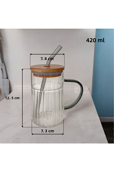 Tohana Bamboo Lid Glass Straw Cup 420 ml