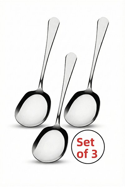 BEYZANA Silver 3 Pieces Steel Serving Spoons 21 cm