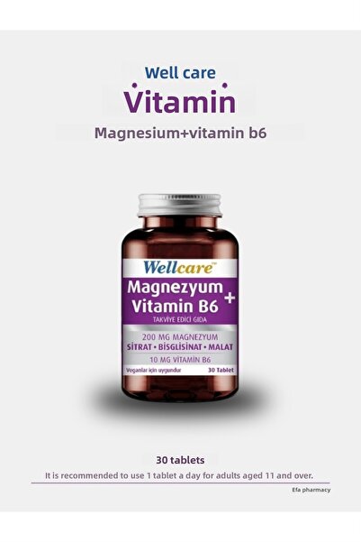 Wellcare Magnesium + Vitamin B6 30 Tablets