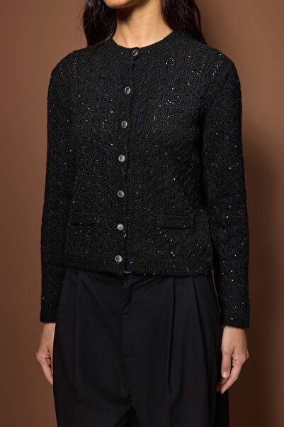 Trendyol Collection Black Sequin Embroidered Hair Knitwear Cardigan Twoaw26Hi00303