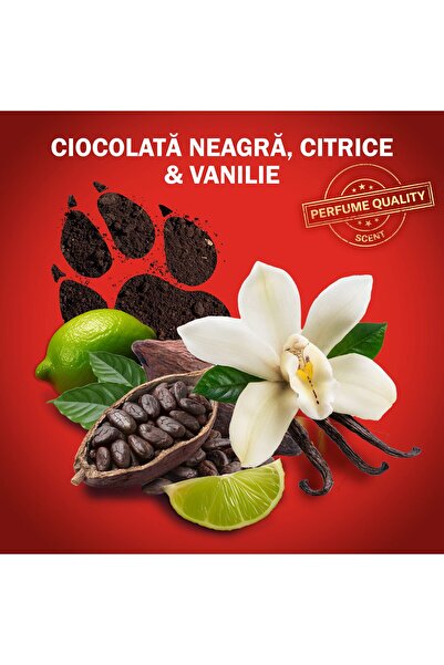 Old Spice Set of 6 x Night Panther Deodorant Stick, men, 48h freshness, citrus vanilla aroma, 50 ml