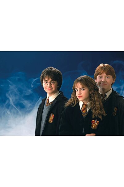 OEM Poster Harry Potter Tinerii Vrăjitori, 61x90cm, Zumzeria