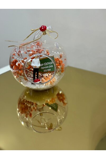 SUMMER GIFT Teraryum Mini Elma - Öğretmenler Günü İçin Hatıra Hediye - Bay Öğ...