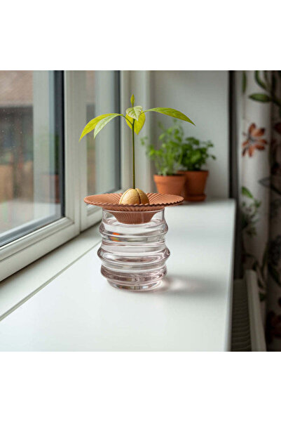 Flying Tiger Copenhagen Avokado Yetiştirme Tabağı