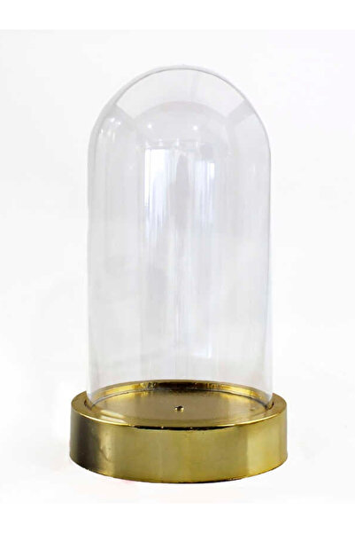 rkmstore Ters Fanus Mika Gold Tabanlı Teraryun Dekoratif  Hediyelik Ürünler