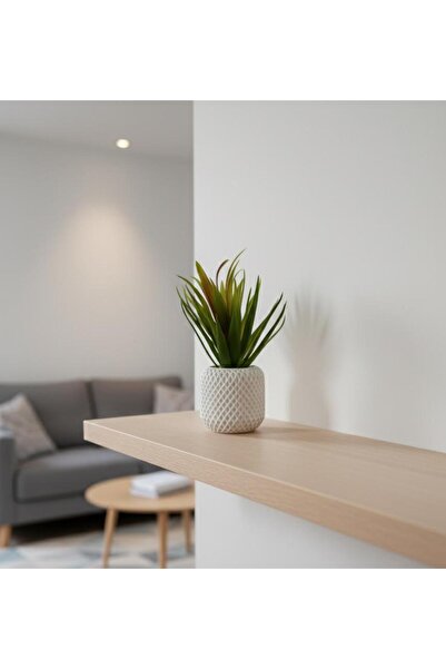 Yonca Hediyelik Avrupa Tarzı Yapay Saksılı Dekoratif Şık Çiçek Kaktüs- Ofis B...