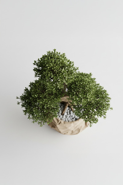 OEM Decorative Planter Crumpled Design – Sandstone Beige Color