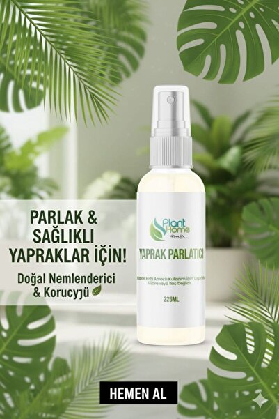 Genel Markalar Yaprak Parlatıcı Böcek ve Sinek Önleyici Organik Sprey Solüsyon