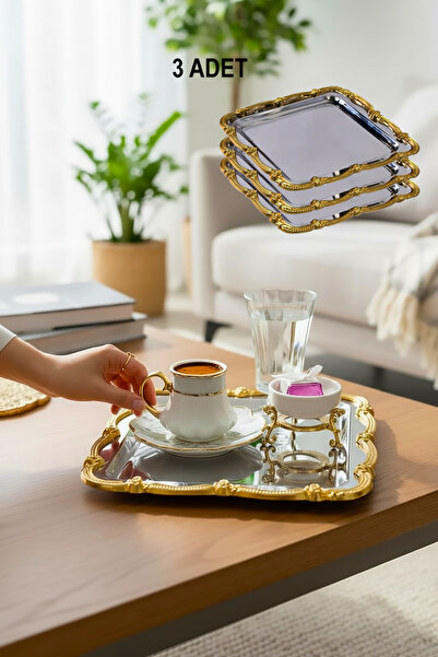 EVSTYLE 3-секційний піддон для лози - нержавіюча сталь