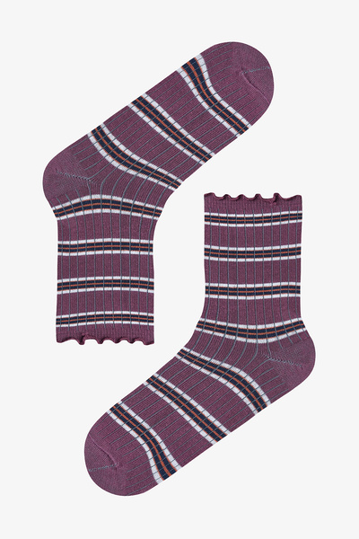 Penti Brown Navy Blue Ruffled Stripe 3-Piece Socks