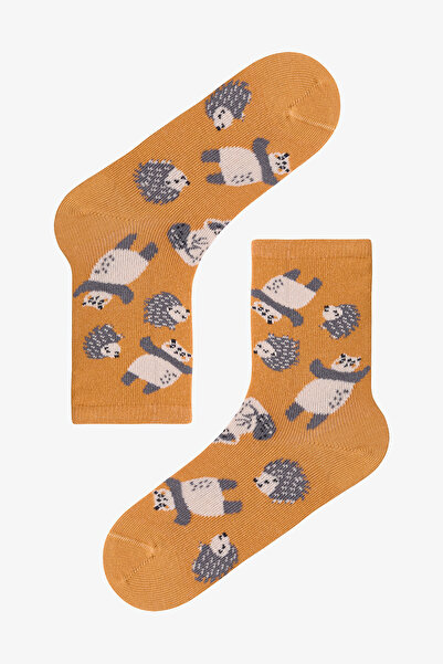 Penti Multicolored Boys' Animals 3-Piece Socks