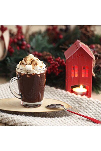 LAV Vega Glass Mug for 6 Persons 300 ml with Handle (Coffee/Tea Cup)