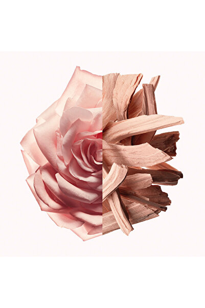 Givenchy Women's Perfume IRRESISTIBLE NUDE VELVET EDP 50 ml