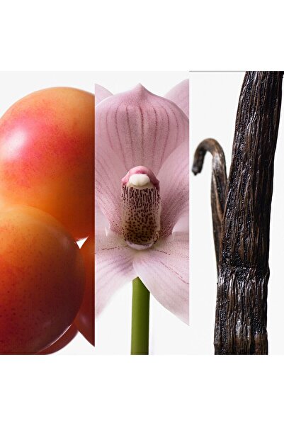 Calvin Klein Women's Perfume Euphoria 100 ml