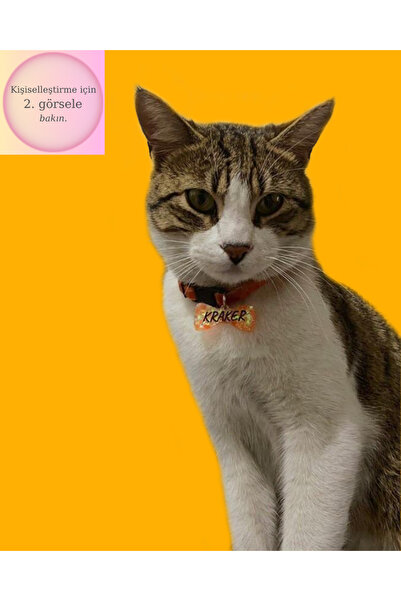 VenüsTakı "papyon" Turuncu Tasma - Zilli - Sun Orange Glitter - Isimli Kedi T...