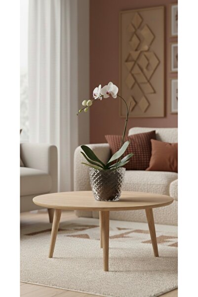 esm vase ORKİDE SAKSISI KRİSTAL MODEL 3 LİTRE 18X16cm
